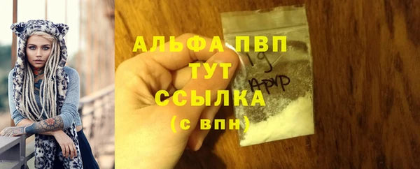 стафф Нефтегорск