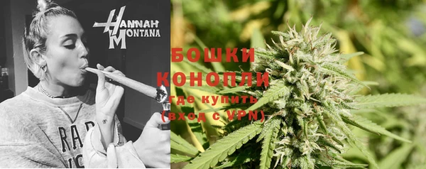 прущие крисы Нефтекумск